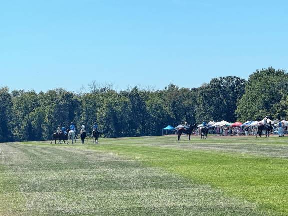 600 attend Polo Classic fundraiser