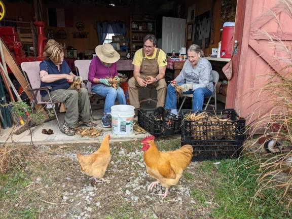 Judy Hundley of Branchville, Fala Freeman of Martha’s Vineyard, Andy Grinthal of Sunset View Farm Andover Twp., Anita Freeman of Stanhope are shown as Grinthal teaches how to divide dahlia tubers.