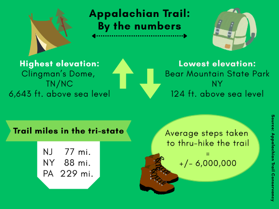 <b>(Infographic by Mandy Coriston) </b>