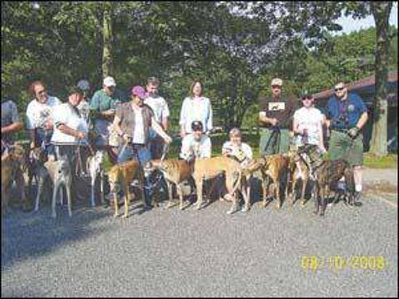 Hiking with greyhounds top