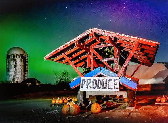 <b>2025 Exhibition Winning Photo (Diane Terraccino)</b>