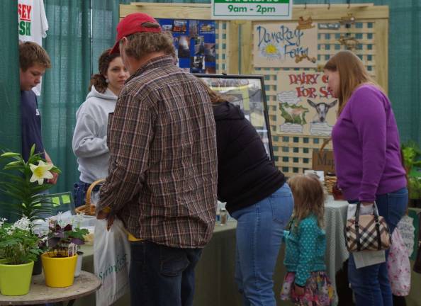 Visitors shown exploring Springfest during the weekend of March 19-20.