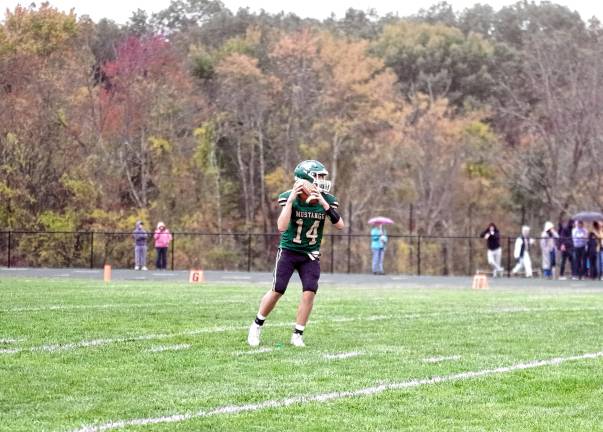 <b>Sussex Tech quarterback Cole Young passed for 103 yards resulting in one touchdown.</b>