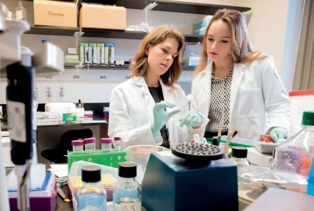 Research assistant professor Erin Norris (left) and graduate student Anna Amelianchik at work in Sidney Strickland&#x2019;s lab. Photo by Mario Morgado