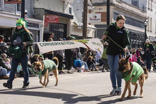 Members of the Ridge and Valley Conservancy of Newton walk with their dogs in the parade.