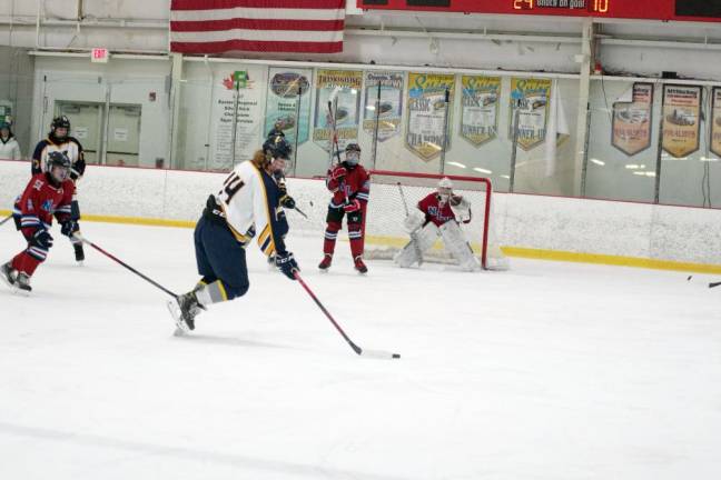 Vernon’s Christopher Gay lines up the puck for a shot.