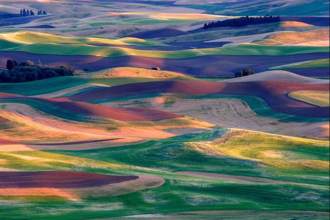 Palouse by Don Myles was the 2011 Patrick-Claus Winner in last year's Skylands Exhibit