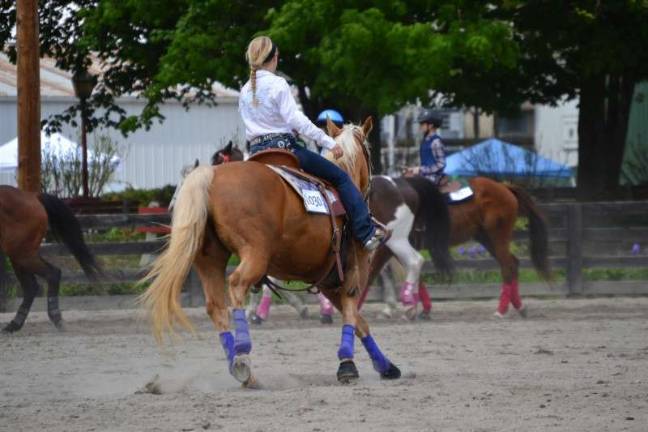 Brooke and her mount warming up