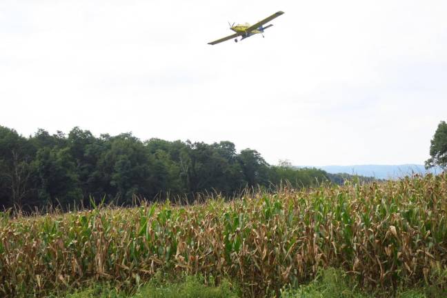 Aerial seeding via two low flying planes will take place in Northern New Jersey now through September 9, 2019.