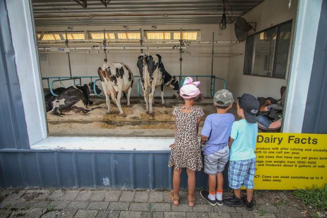 <b>Dairy Milking Demos happen throughout the day at the Milking Parlor.</b>