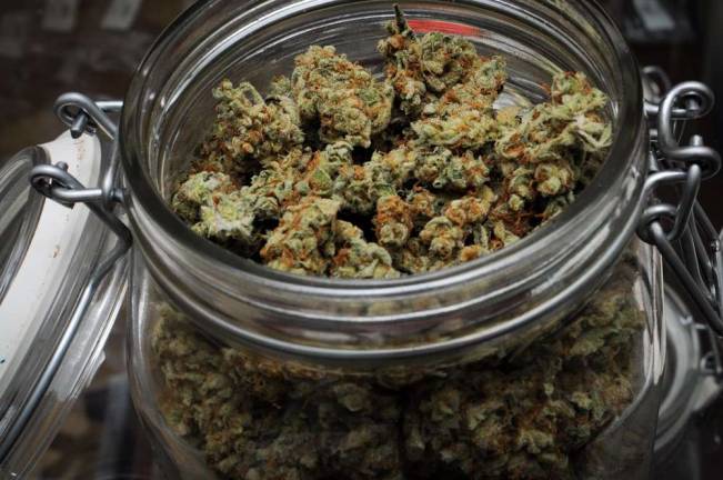 Marijuana is not benign, addiction expert says