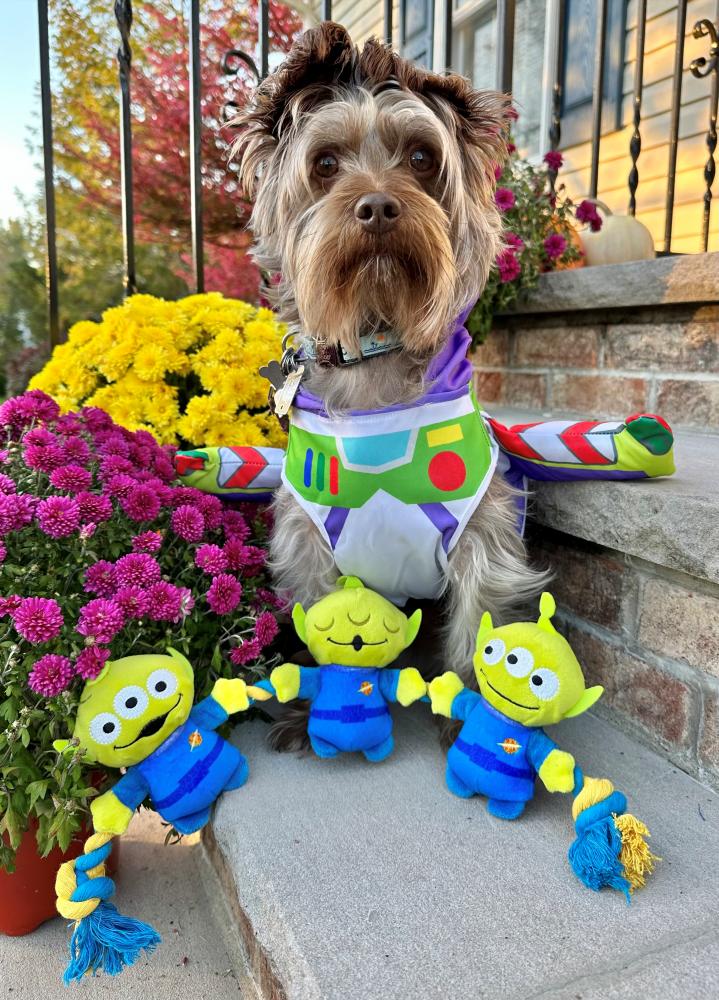 $!Township trick-or-treating