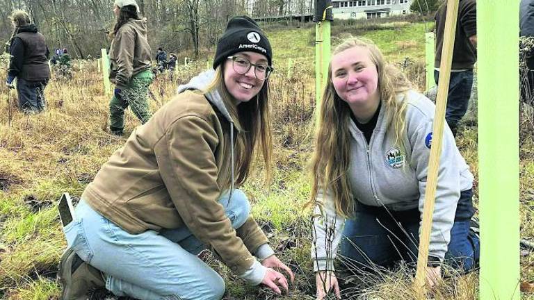Local Realtors, environmental groups plan tree planting at Culver Brook Preserve