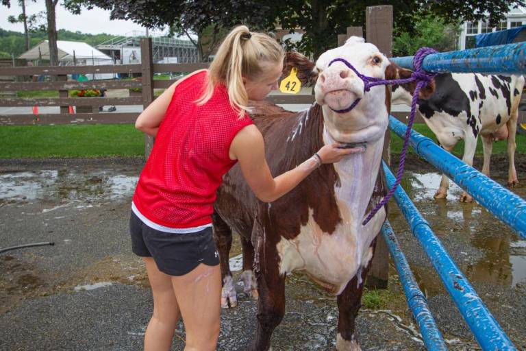 $!The New Jersey State Fair is back and better than ever this summer