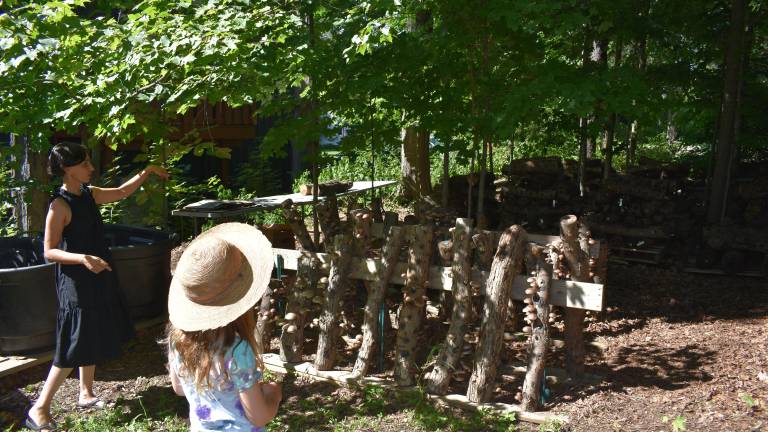 Tour-goers learn how Venjara grows shiitake mushrooms on logs. Photo: Becca Tucker