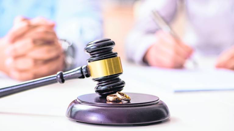 <b>Project Self-Sufficiency will host a free, online Family Law seminar.</b>