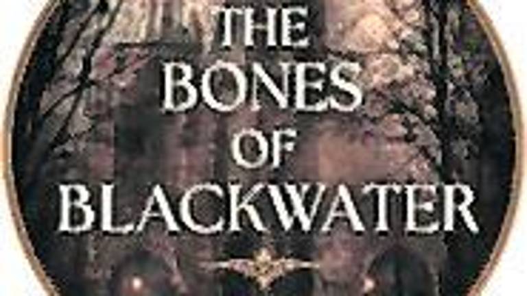 Sussex County author releases debut historical mystery novel